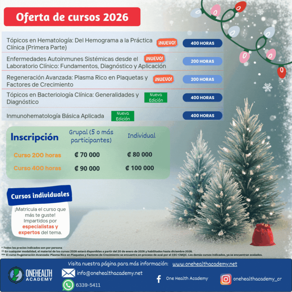 2026 Cursos navidad y año nuevo individuales