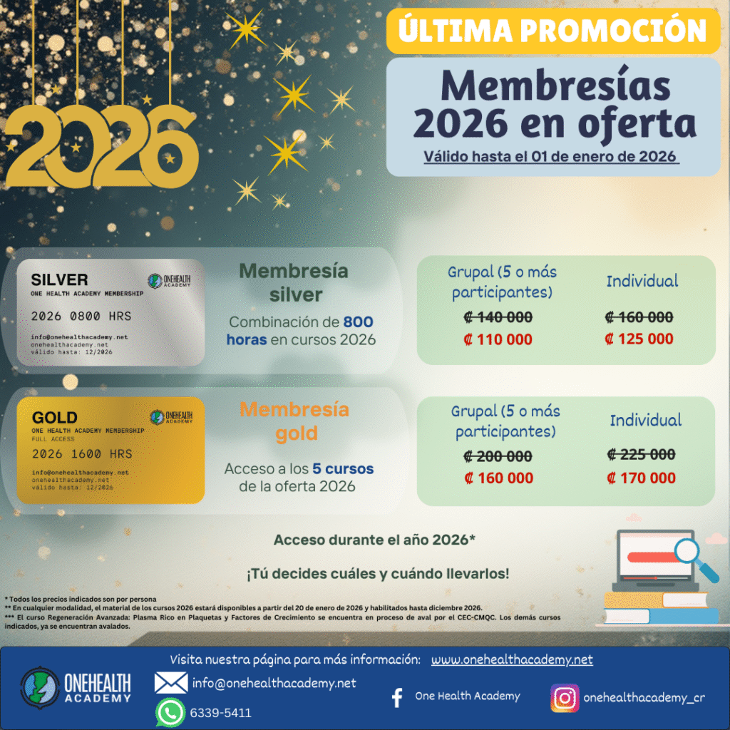 2026 Promoción año nuevo